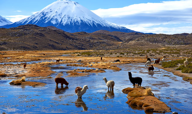 Antofagasta: El Tesoro de la Costa Norte