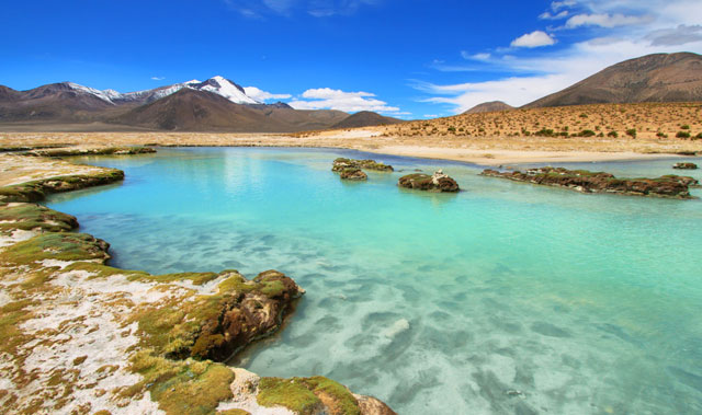 Iquique: Diversión bajo el Sol en la Ciudad Playera