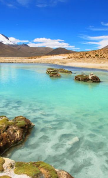 Parque Nacional Lauca - Salar de Surire